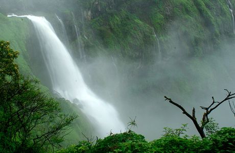 Lingamala Falls