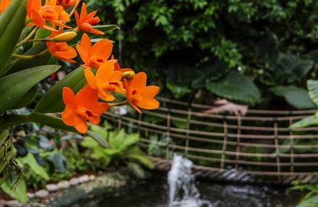 Raffeiner Orchideenwelt
