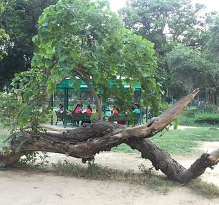 Rakh Bagh Park