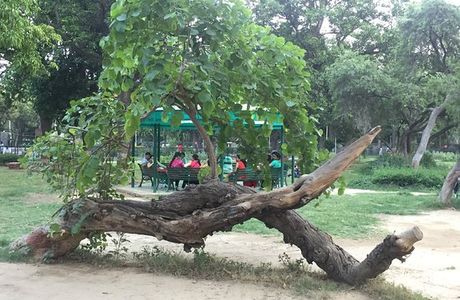 Rakh Bagh Park