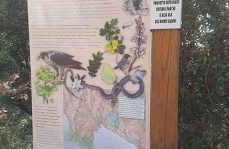 Pineta Lecceta di Chiavari