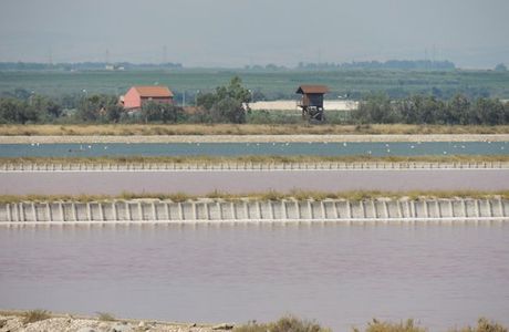 Pista Ciclabile Trinitapoli-Mare