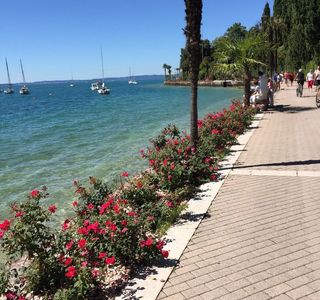 Pista Ciclo Pedonale Lazise - Bardolino - Garda