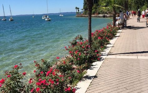 Pista Ciclo Pedonale Lazise - Bardolino - Garda 1