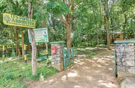 Popham's Arboretum