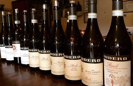Poderi e Cantine Oddero