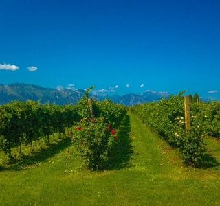 Podere Gelisi Antonio