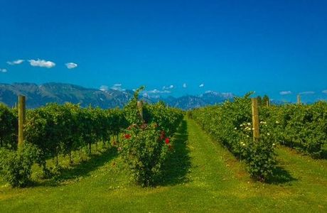 Podere Gelisi Antonio