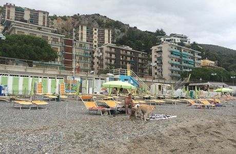 Pluto Beach