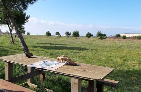 Riserva Naturale Regionale Macchiatonda