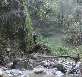 Riserva Naturale Regionale delle Valli Cupe