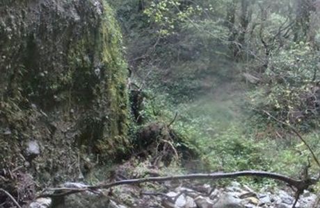 Riserva Naturale Regionale delle Valli Cupe