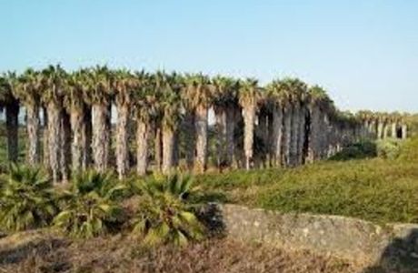 Riserva Naturale Orientata del Fiume Fiumefreddo