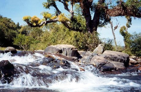Papanashini River