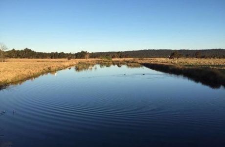 Panboola Wetlands
