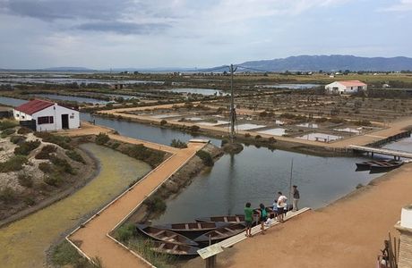 Parc Natural del Delta de l'Ebre