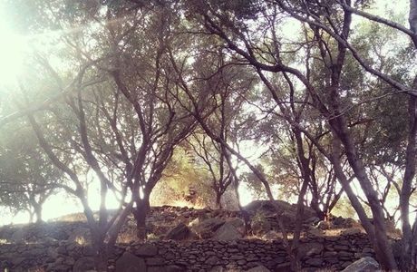 Parco Archeologico dei Tauriani