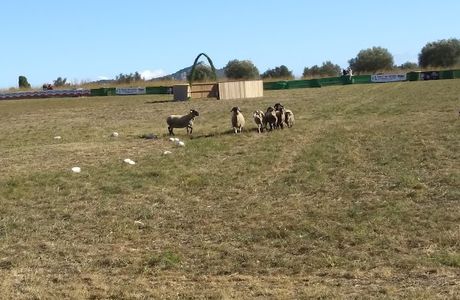 Parc de les Aus