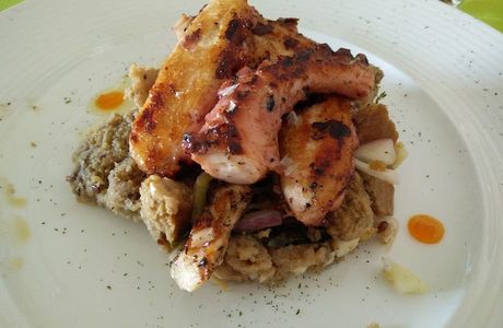 Origano Cibo e Vino