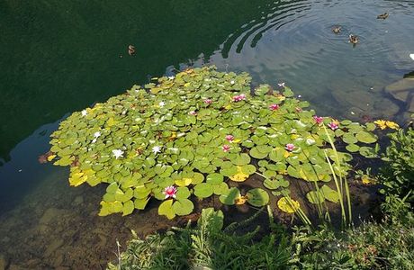 Percorso Panoramico "Strada dei Pescatori"