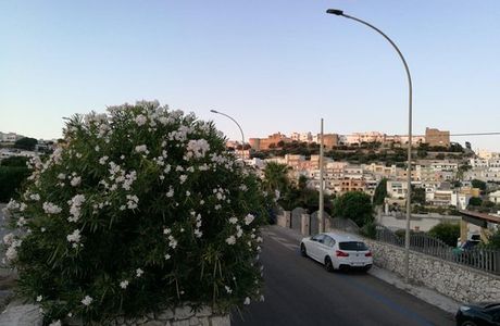Passeggiata Intorno Alle Mura Messapiche