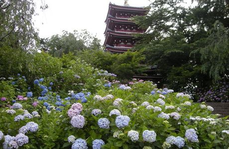 Hondo-ji Temple