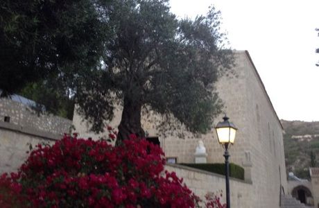 Agios Neophytos Church