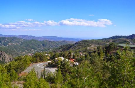 Troodos Botanical Garden