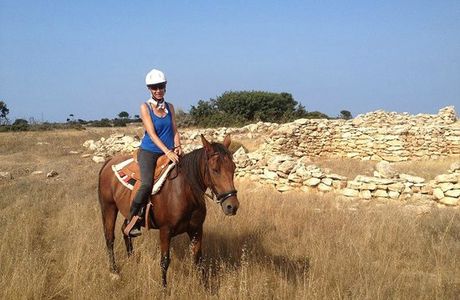 Alexandros Riding Stables