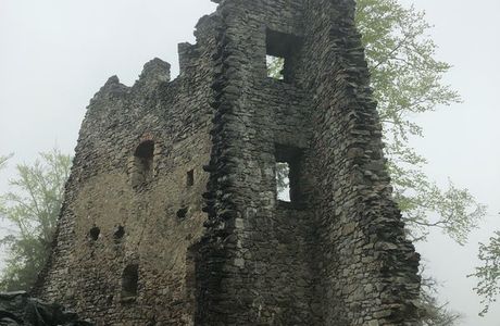 Burgruine Alt-Ems
