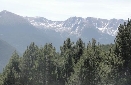 Sub-Alpine Flora and Fauna Trail