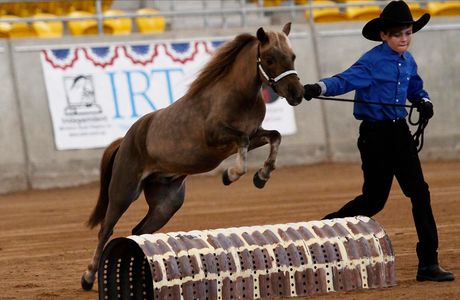 Australian Equine and Livestock Events Centre
