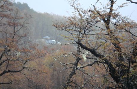 Lahuen Co Spa Termal de Montana