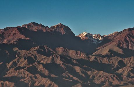 The Vines of Mendoza