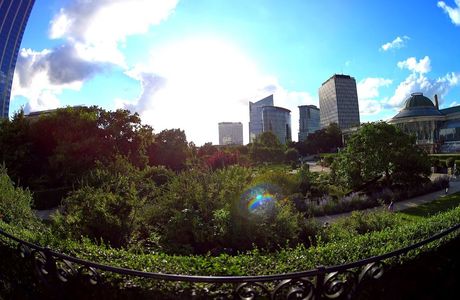 Botanical Garden of Brussels