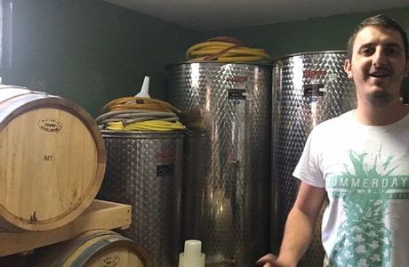 Wine cellar Begic