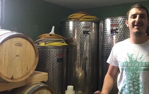 Wine cellar Begic 1