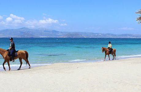 Naxos Horse Riding Club