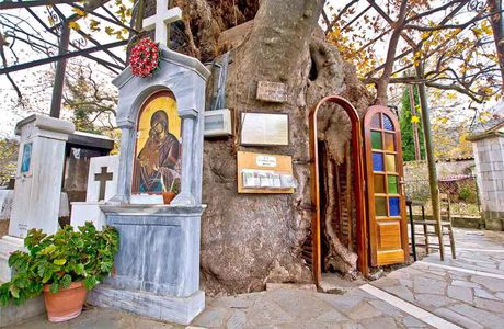 Panagia Plataniotissa