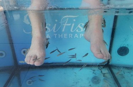 Sisi Fish Spa Therapy