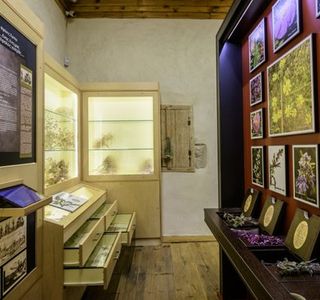 Rodanthi Museum