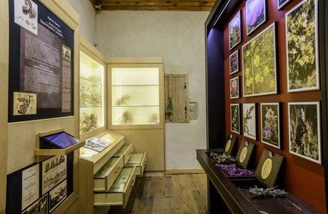 Rodanthi Museum
