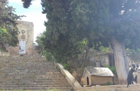 Germaniko Pouli (German Bird Memorial)