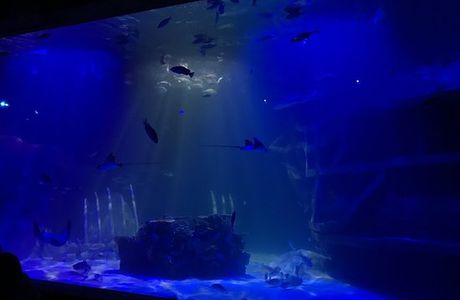Acuario del Bajio