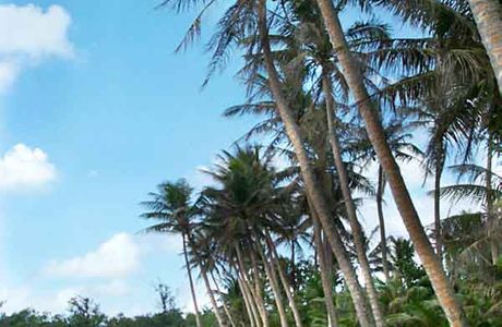 Sirena Park