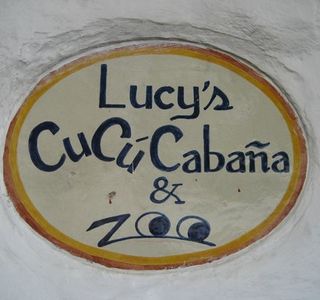 Lucy's CuCu Cabana