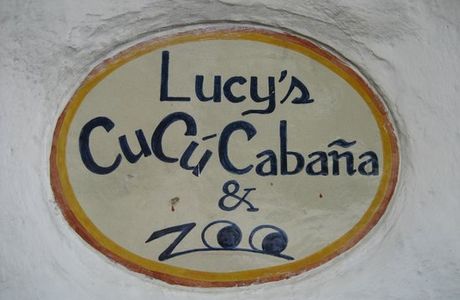 Lucy's CuCu Cabana