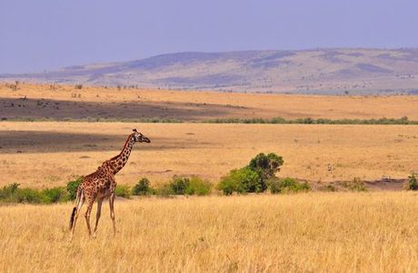 Safe Ride Tours & Safaris