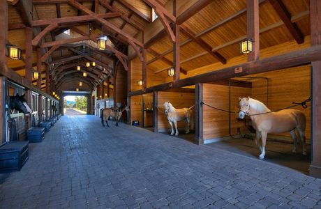 Malo Stables