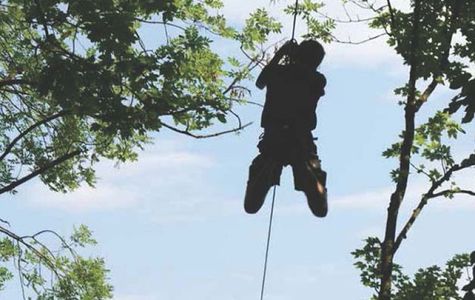 Ecopark Adventures Sannois 1